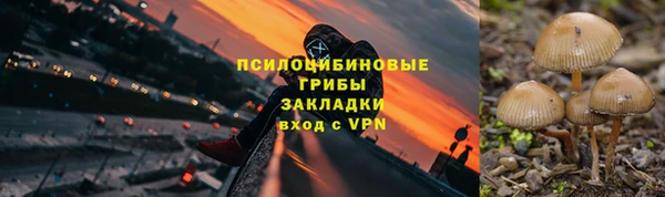 амф Зерноград