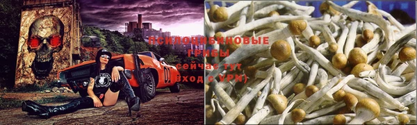 COCAINE Зеленодольск