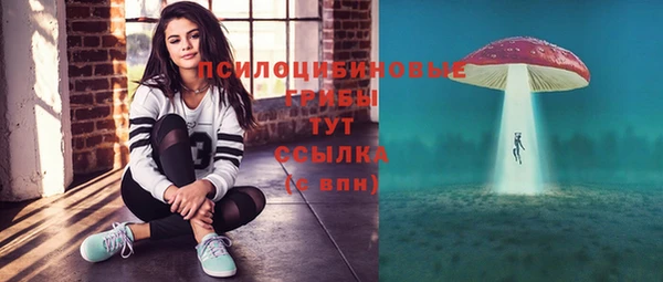 амф Зерноград